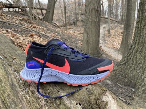 nike pegasus trail 3 review.